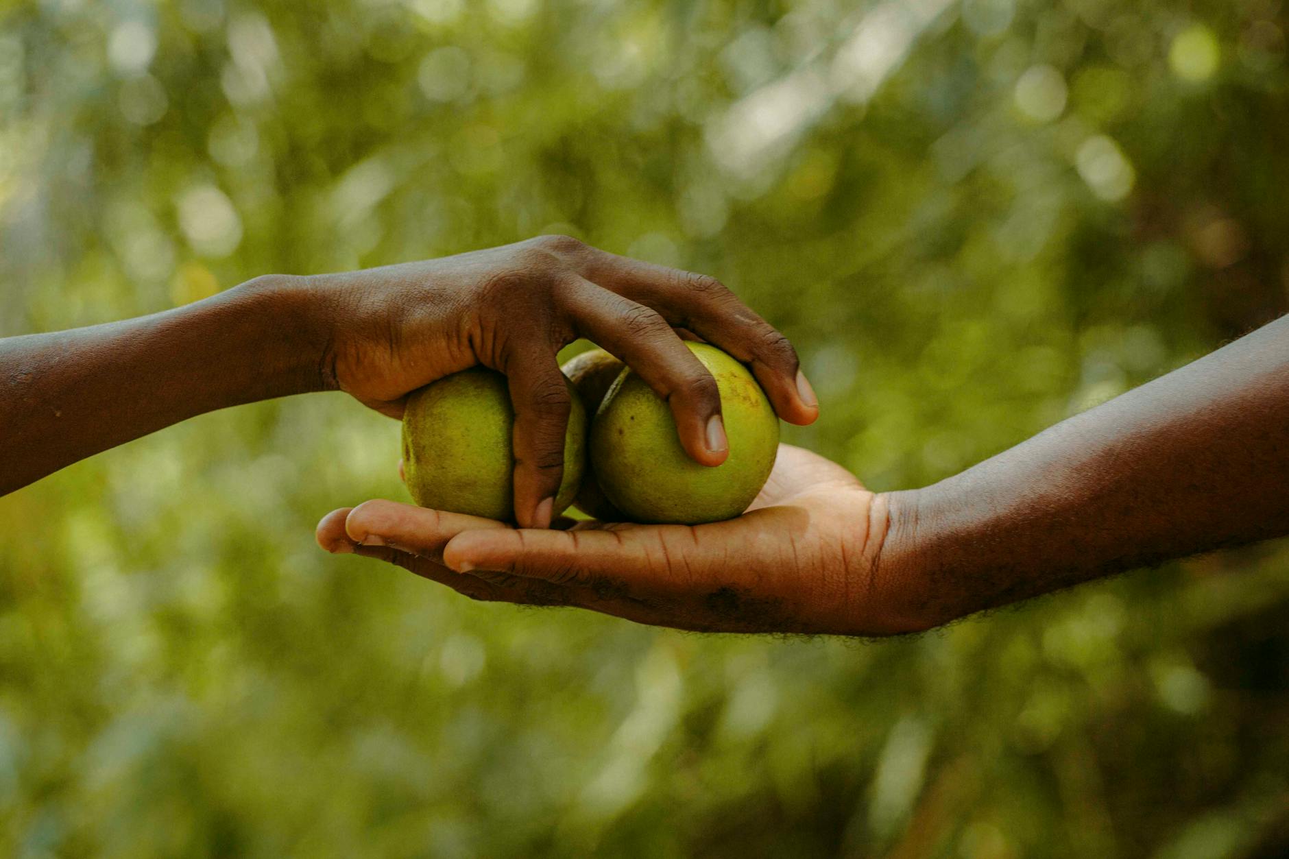 symbolic gesture of kindness in ghana